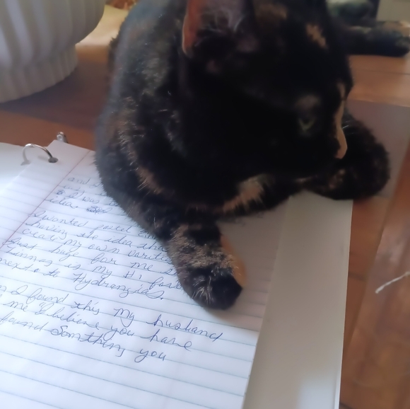 Meet your Posher, Whitney - Picture 2 of 4